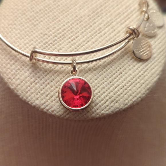 Alex and Ani Garnet (Red) color gem bracelet. Great price! Like new - Picture 4 of 4